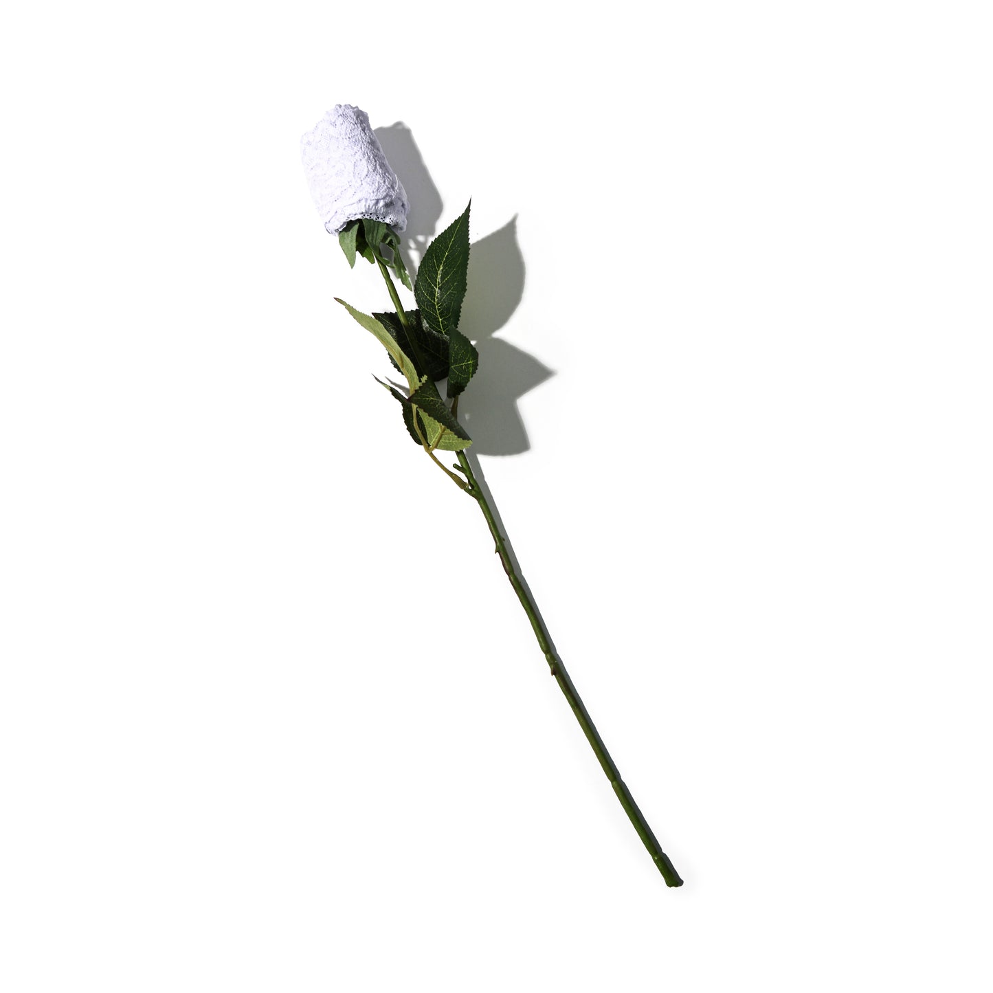 Hanky Panky Signature Lace® Original Rise Thong Roses