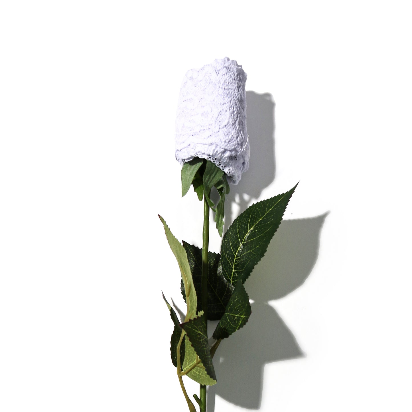 Hanky Panky Signature Lace® Original Rise Thong Roses